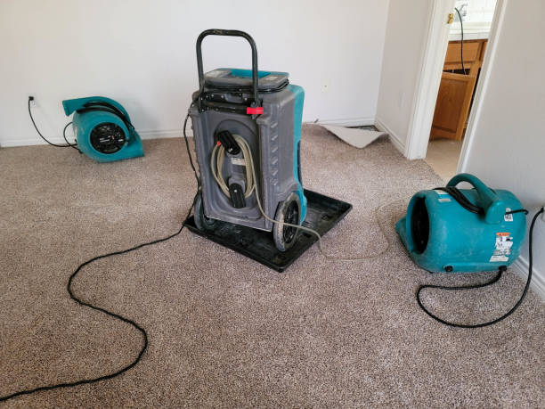 Akron, PA Water damage restoration Pros