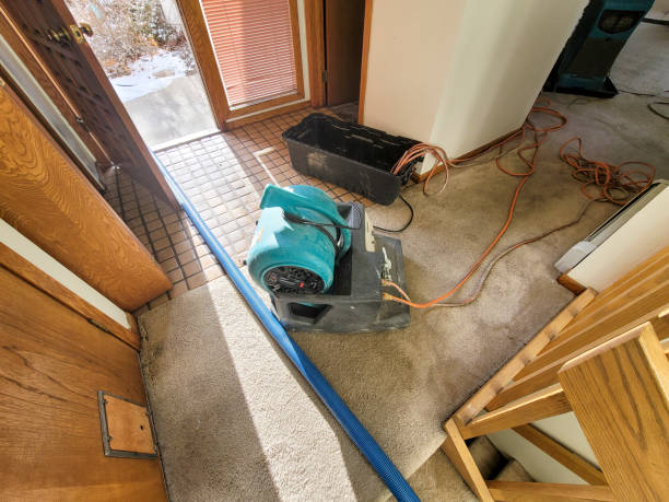 Best Basement water damage restoration  in Akron, PA