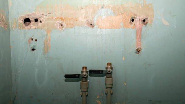 Best Water damage restoration company  in Akron, PA